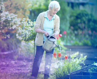 Home Care, Caregivers, Gardening, Elderly Activities