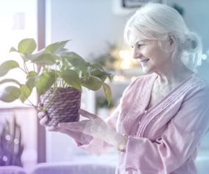 Home Care, Caregivers, Elderly Activities, Gardening, Garden Duties, Activity