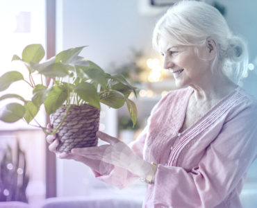Home Care, Caregivers, Elderly Activities, Gardening, Garden Duties, Activity